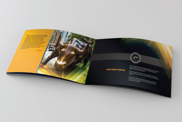 Financial Investment Firm Multi-Page Brochure