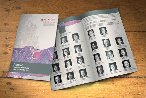 Medical Consulting Multi-Page Brochure Design