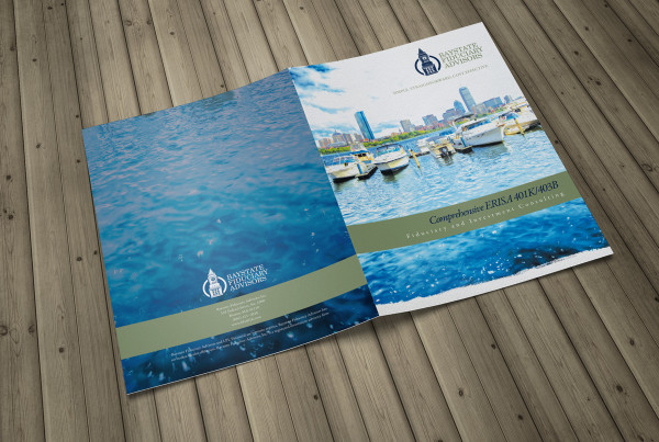 Financial Consultant Large Brochure