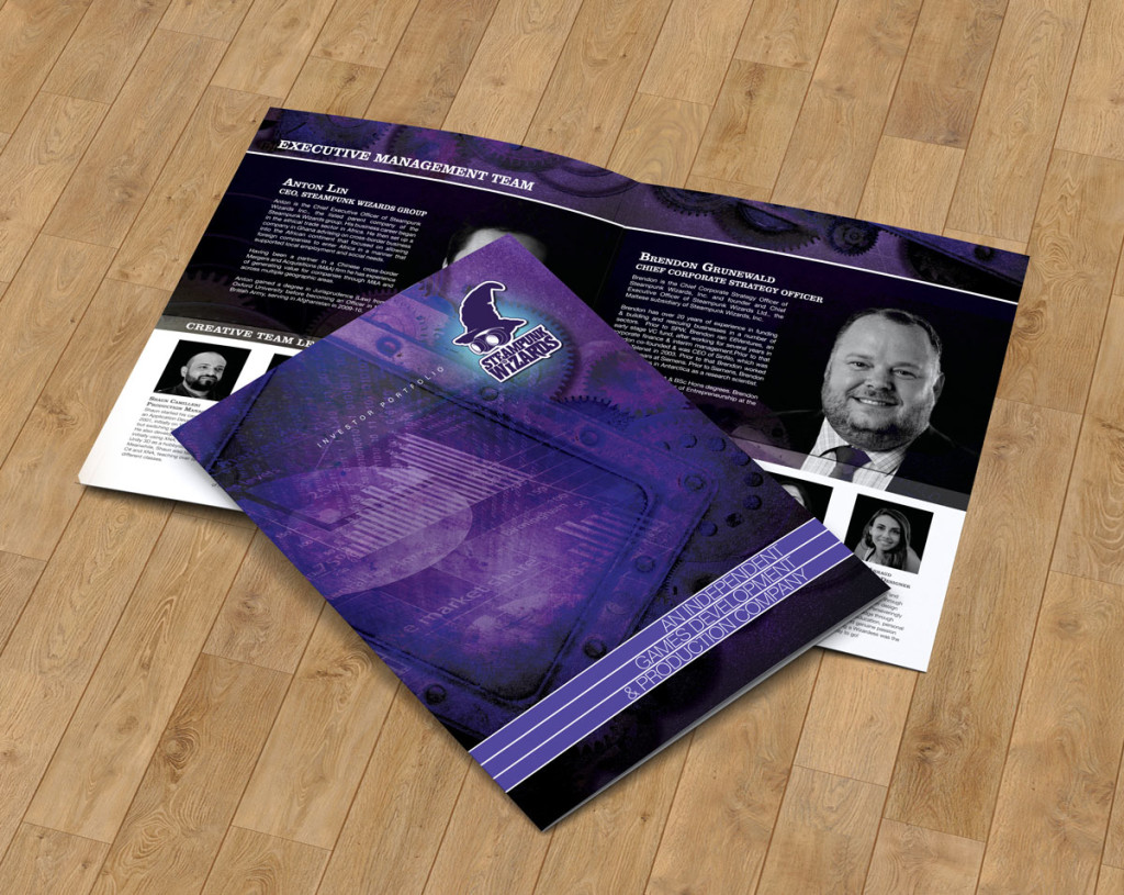 video game developer 4 page brochure brochure design printing video game developer 4 page brochure brochure design printing