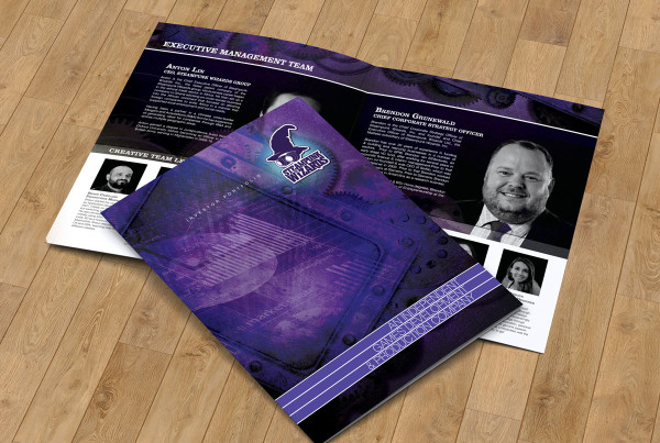 Video Game Developer 4 Page Brochure