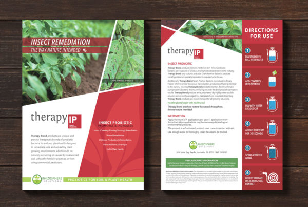 Agricultural Flyer Design Concept