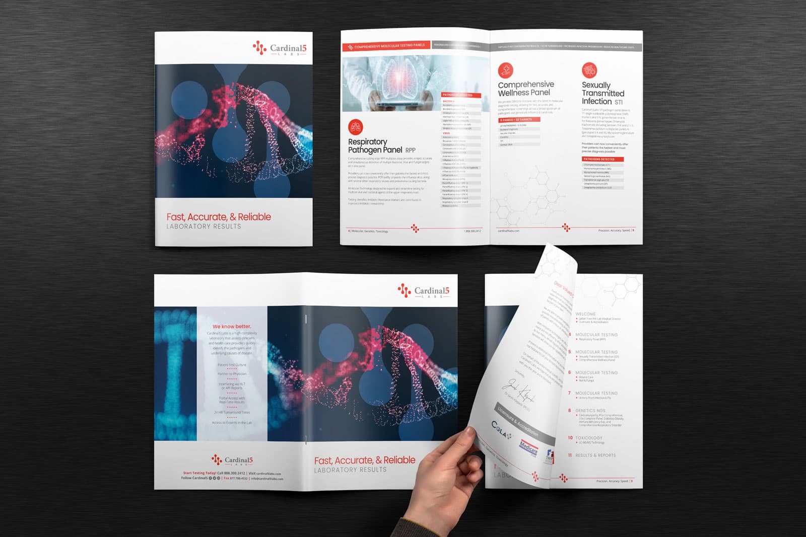 Medical Multiple Page Brochure Design